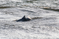 Destin Slideshow
